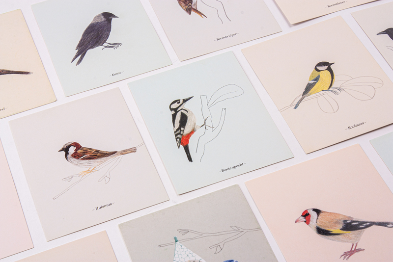 Vogels 4