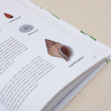 Het zeeboek 5