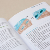 Het zeeboek 6