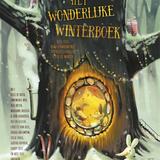 Het wonderlijke winterboek 1
