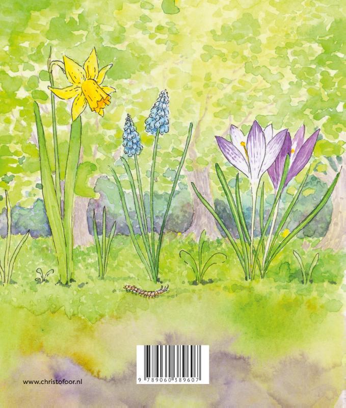 Lente 2