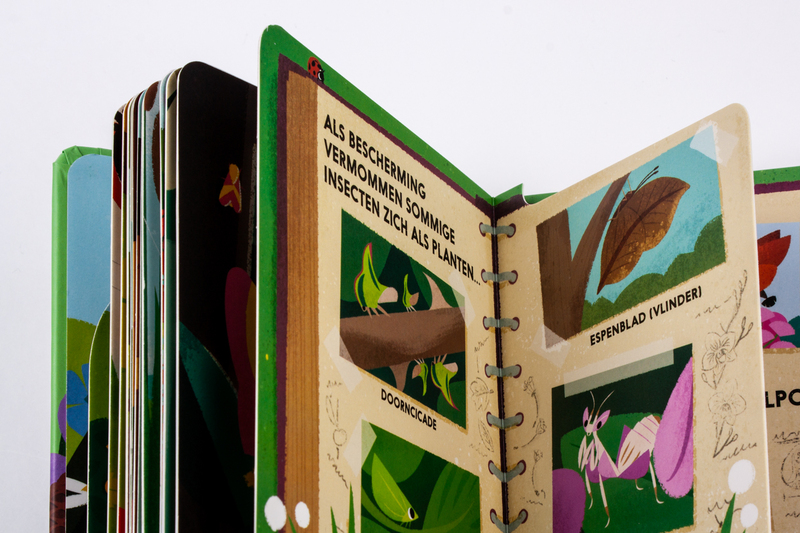 Het dikke insectenboek 6