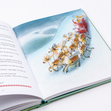 Het wonderlijke winterboek 6