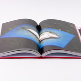 Ottolenghi het kookboek 4