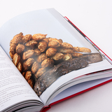 Ottolenghi het kookboek 5