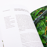 Ottolenghi het kookboek 6