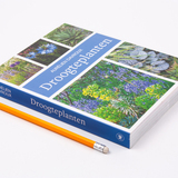 Droogteplanten 3