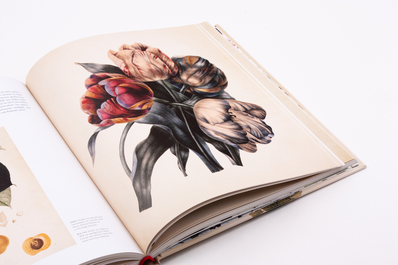 Floralia 8